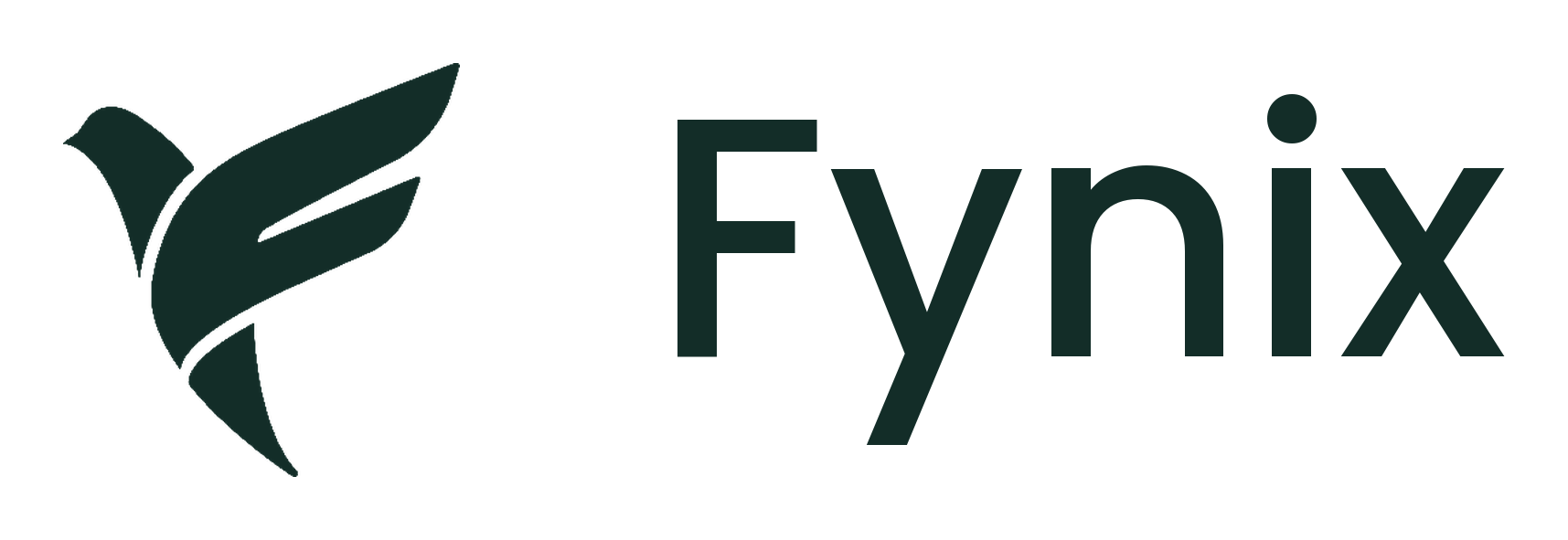 Fynix Cyber Audit