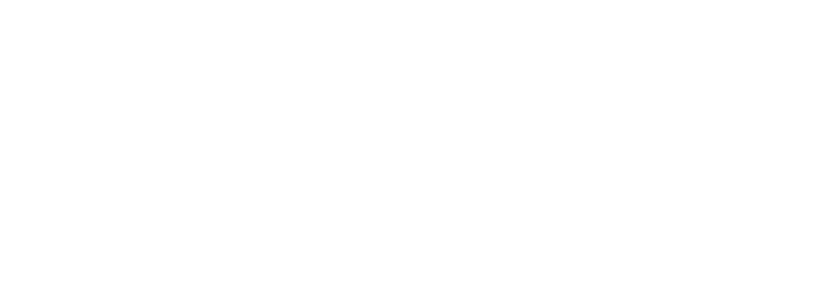 Fynix Cyber Audit